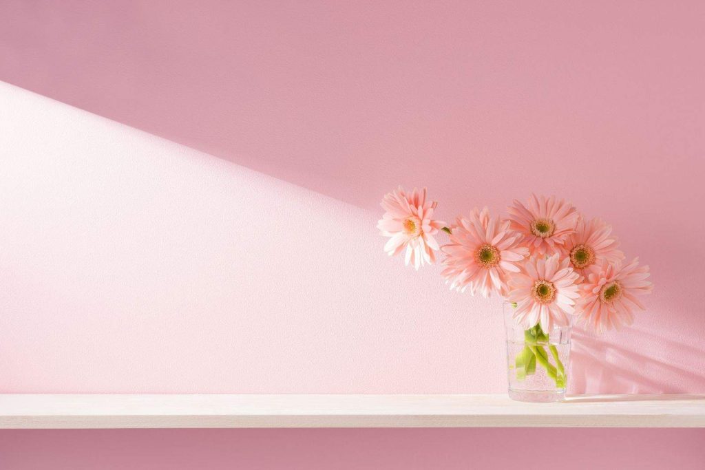 tinteggiature da interni rosa interni decorati